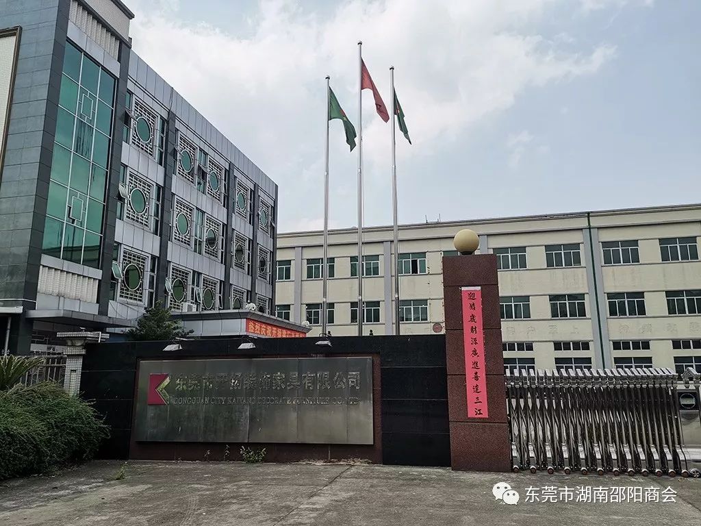 邵阳市政协副主席郭妤一行莅临东莞市湖南邵阳商会指导工作(图9)
